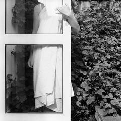 Finding Home (Garden) - Triptych