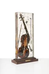 Colère de Violon