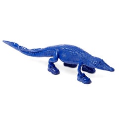 Cloned Alligator with sneakers blue