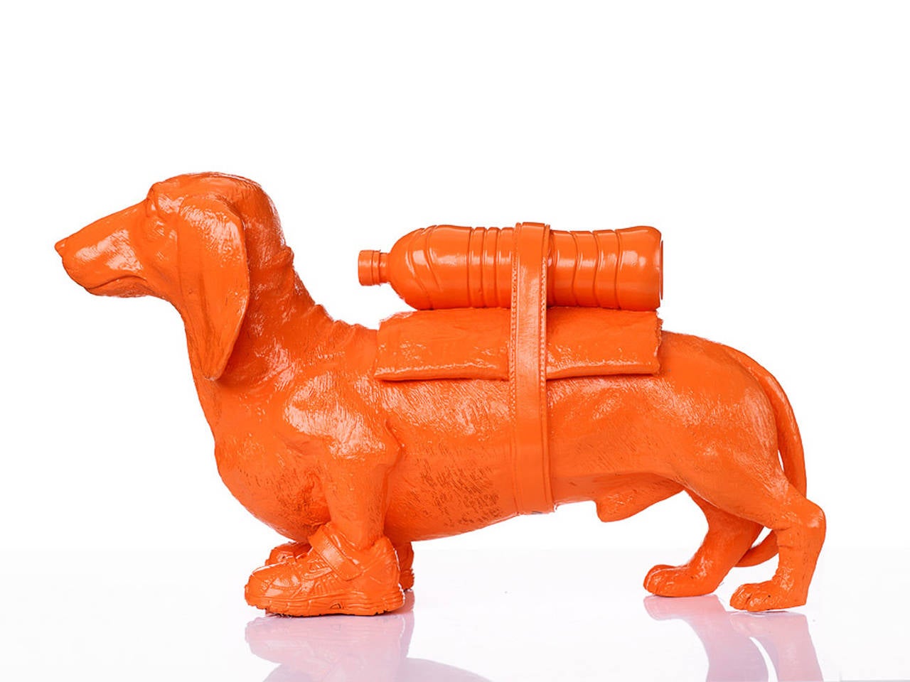 Cloned Dachshund with pet bottle.