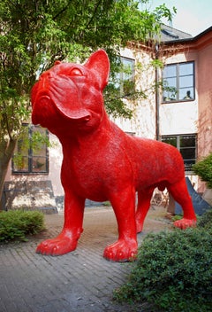 Grand bouledogue français à capuche rouge