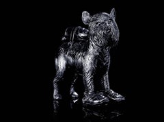 Grifón de Bruselas clonado con biberón para mascotas.