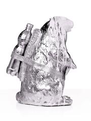 Cloned Marmot with pet bottle