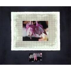 Correspondences: Time: Connecticut 12