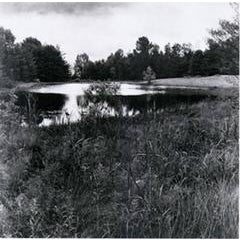 Pond 4