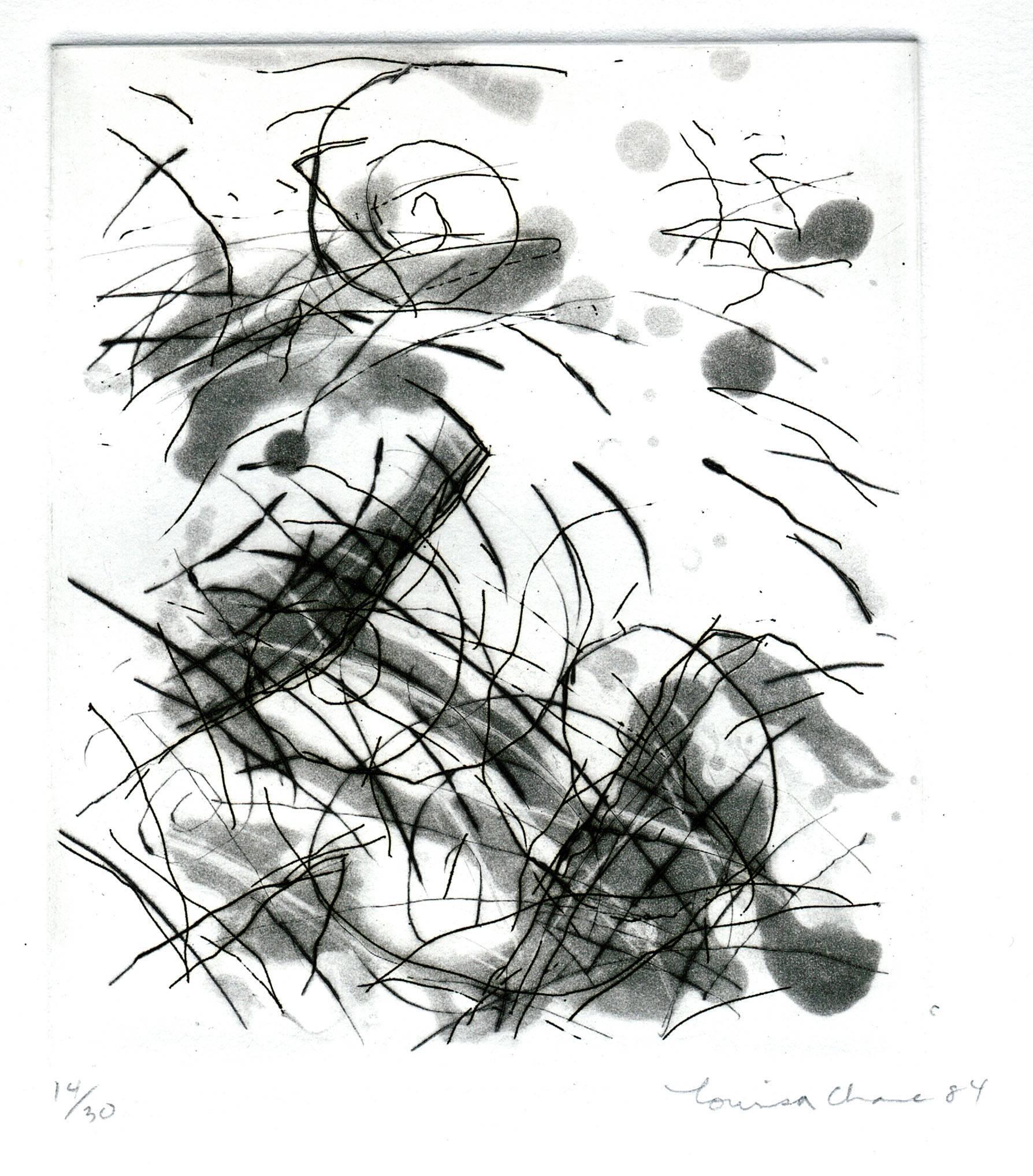 Portfolio of Six Untitled Etchings - Print by Louisa Chase