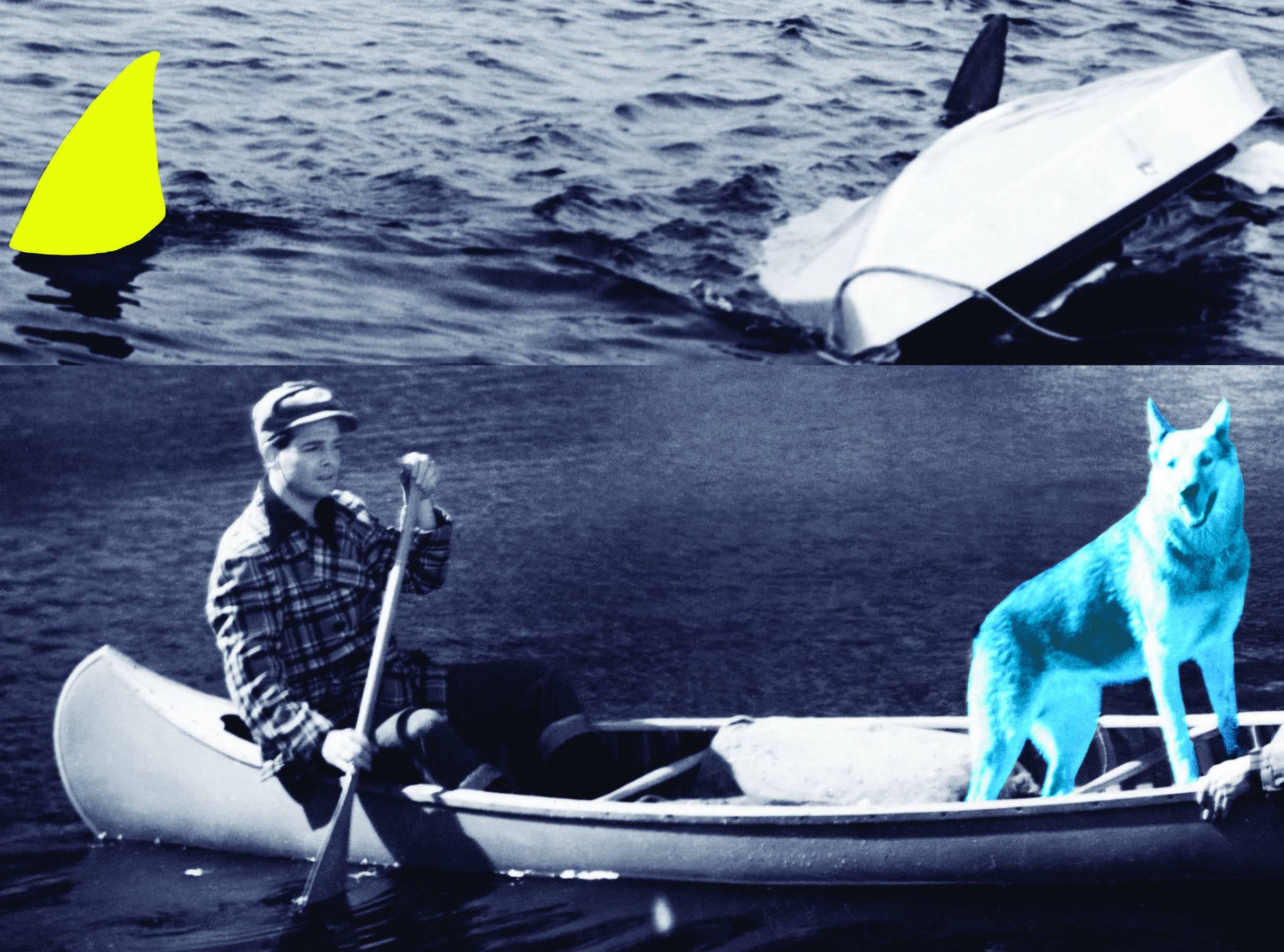 Man, Dog (Blue), Canoe/Shark Fins (One Yellow), Capsized Boat
