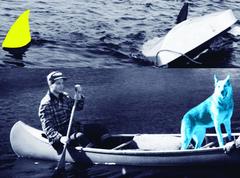 Man, Dog (Blue), Canoe/Shark Fins (One Yellow), Capsized Boat