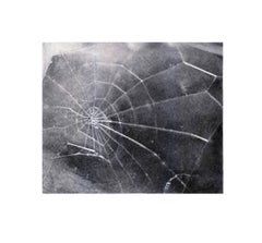 SPIDER WEB, Vija Celmins (Siebdruck von Spinnenwebe)