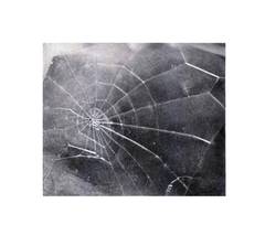 Spider Web 2