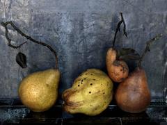 Used Still Life (Pears)
