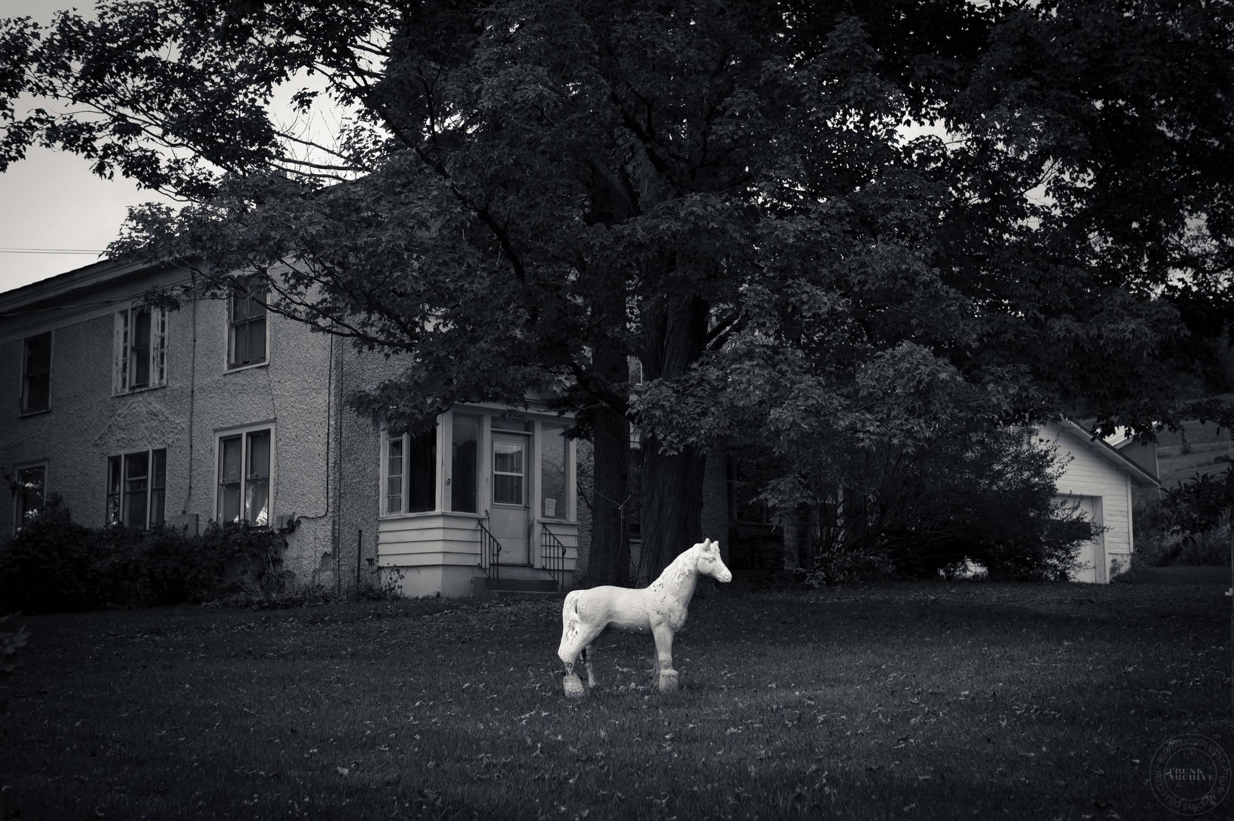 Eric Ogden Black and White Photograph - Horse (Sculpture)