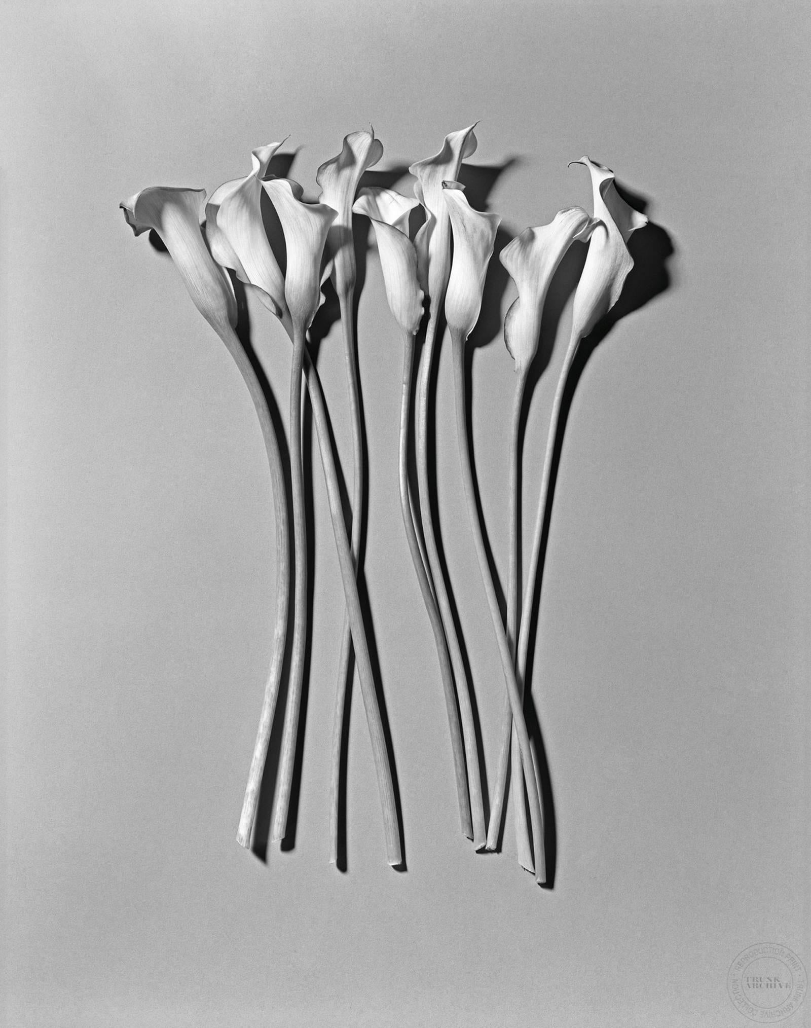 Craig Cutler Black and White Photograph - Calla Lily (Arrangement)