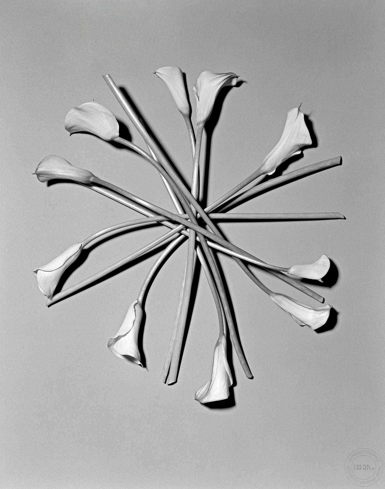 Craig Cutler Black and White Photograph - Calla Lily (Arrangement)