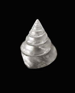 Spire Shell