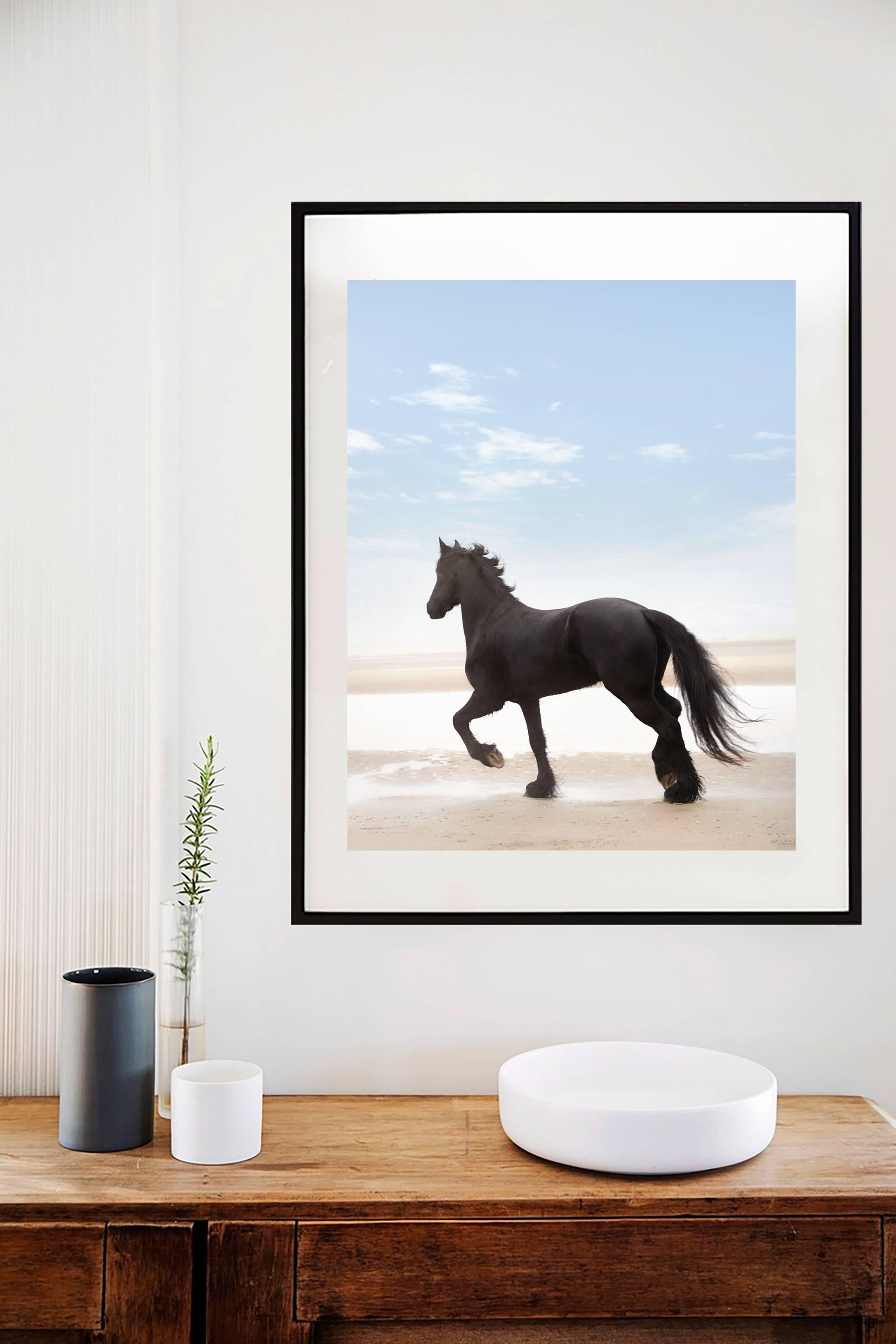 Black Horse on the Beach - Print by Richard Phibbs 