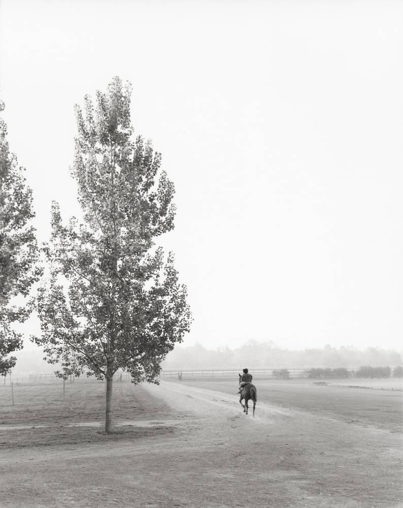 Richard Phibbs  Black and White Photograph - Horseback Riding into Fog
