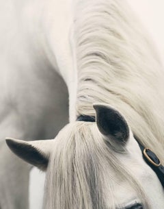 White Horse Ears