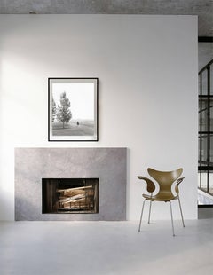 Horseback Riding into Fog