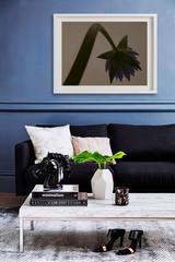 Hothouse Sepia 08-114