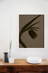 Hothouse Sepia 08-025