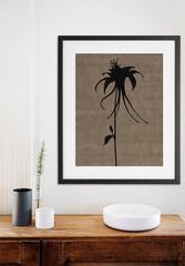 Hothouse Sepia-08-346