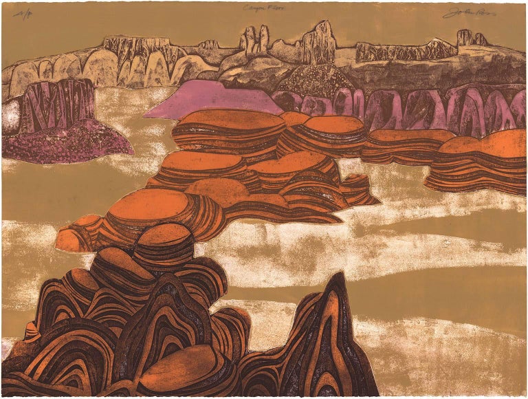 John Ross Landscape Print - Canyon Floor