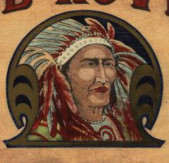 Red Rover Gunpowder Tea