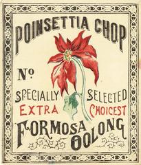 Antique Poinsettia Chop No.