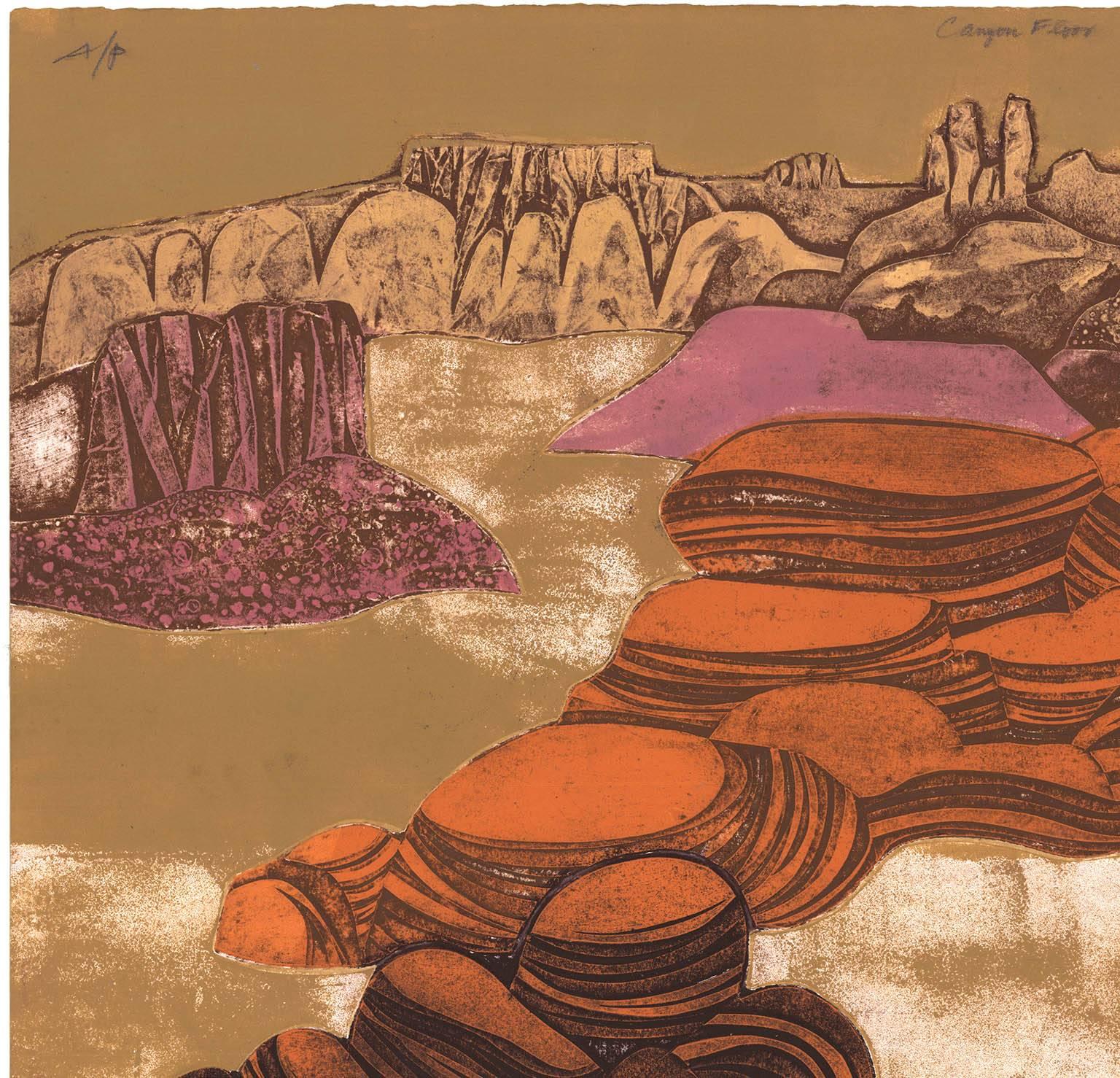 Piso del Cañón - Print Contemporáneo de John Ross
