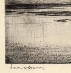 Geese Drifting Down.