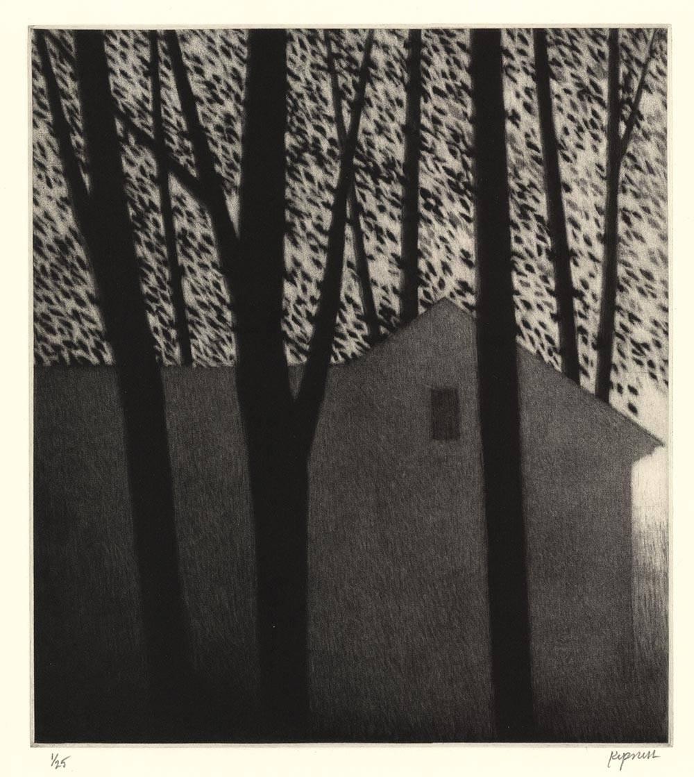Robert Kipniss Landscape Print - House & Leaves.