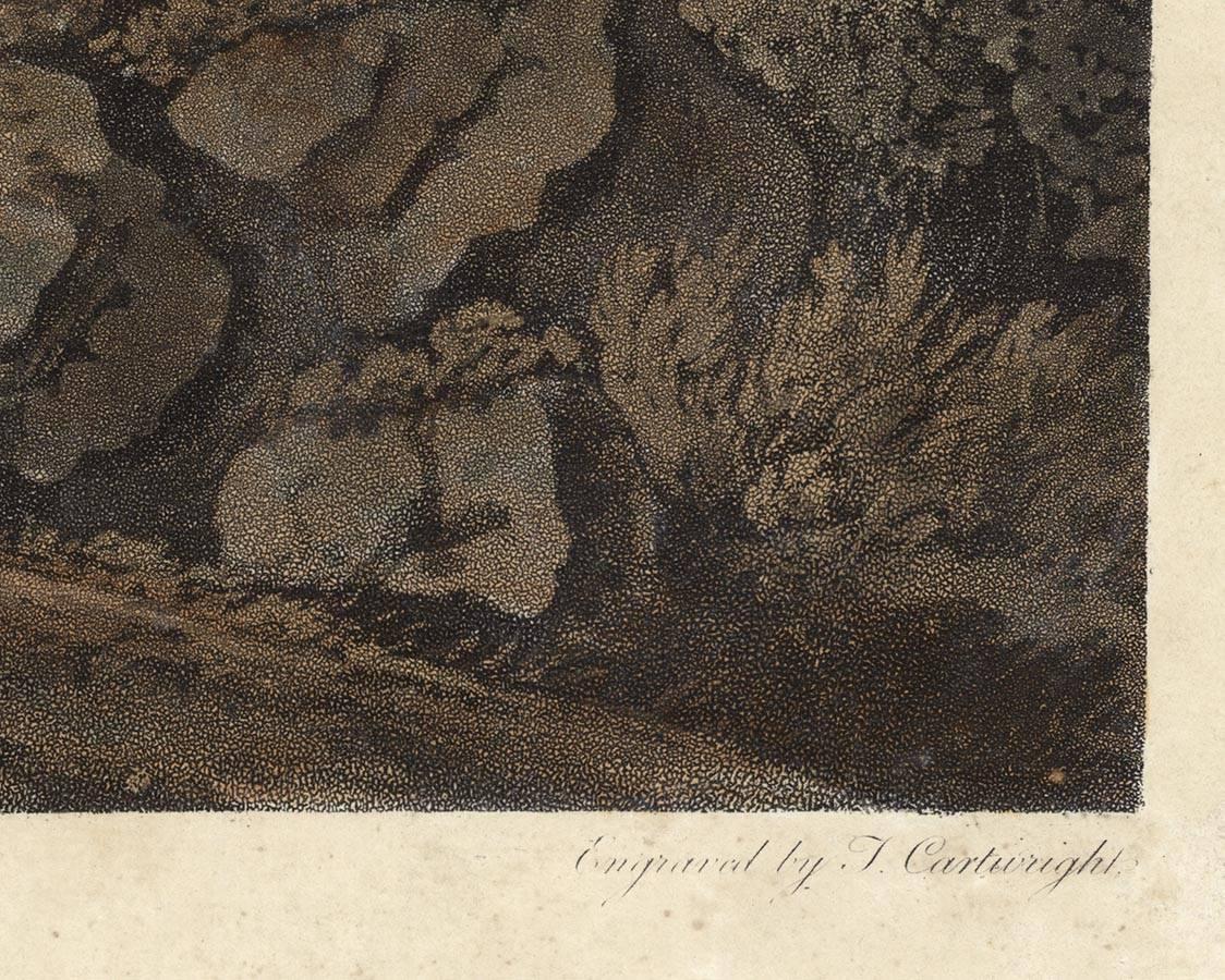 Les chutes du Niagara. - Print de George Beck