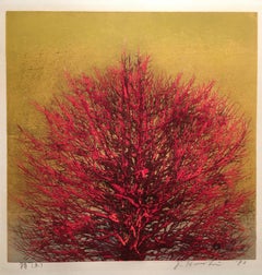Treetop (Red)