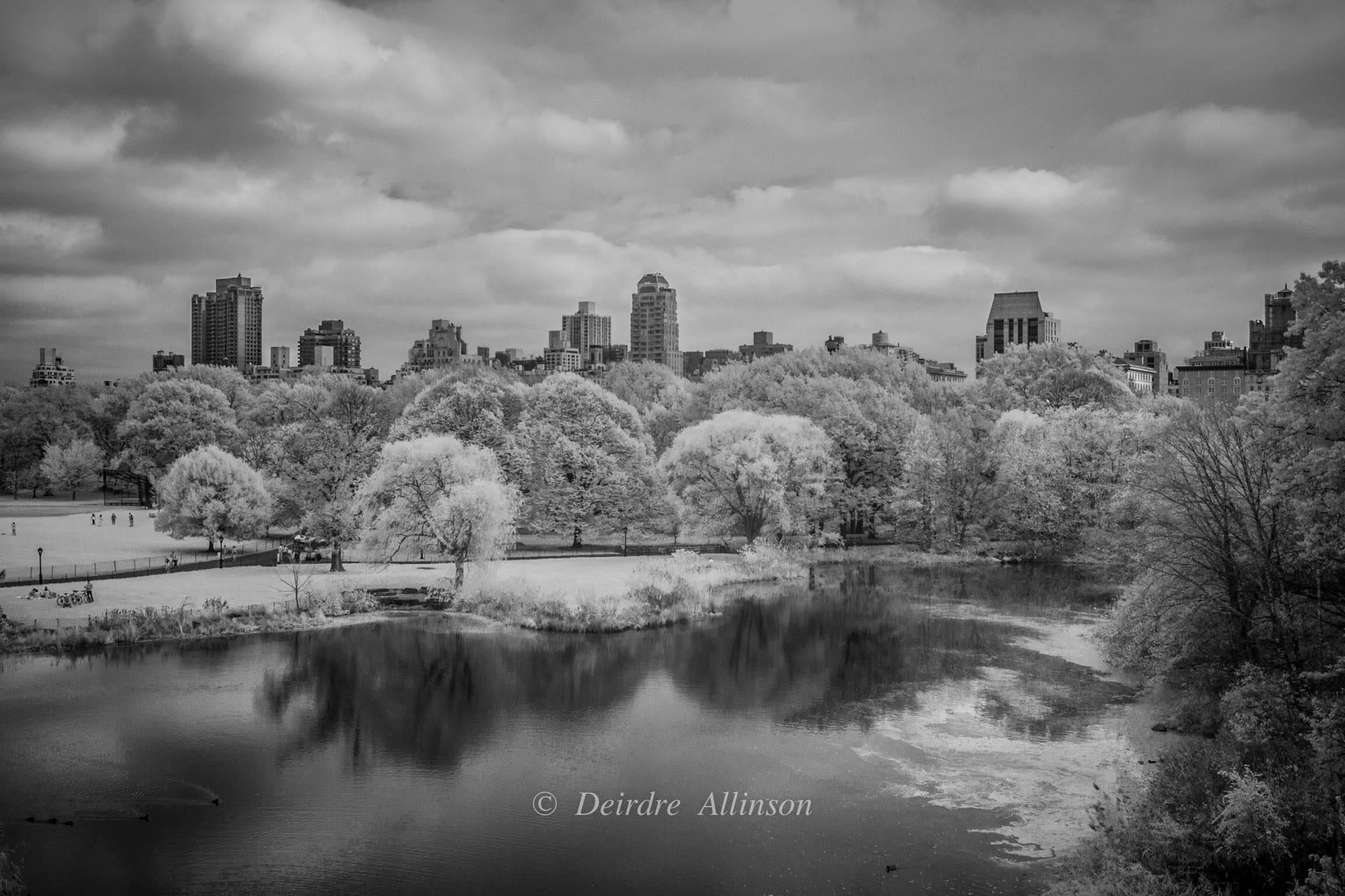 Deirdre Allinson Black and White Photograph - A Quiet Glimpse of Central Park
