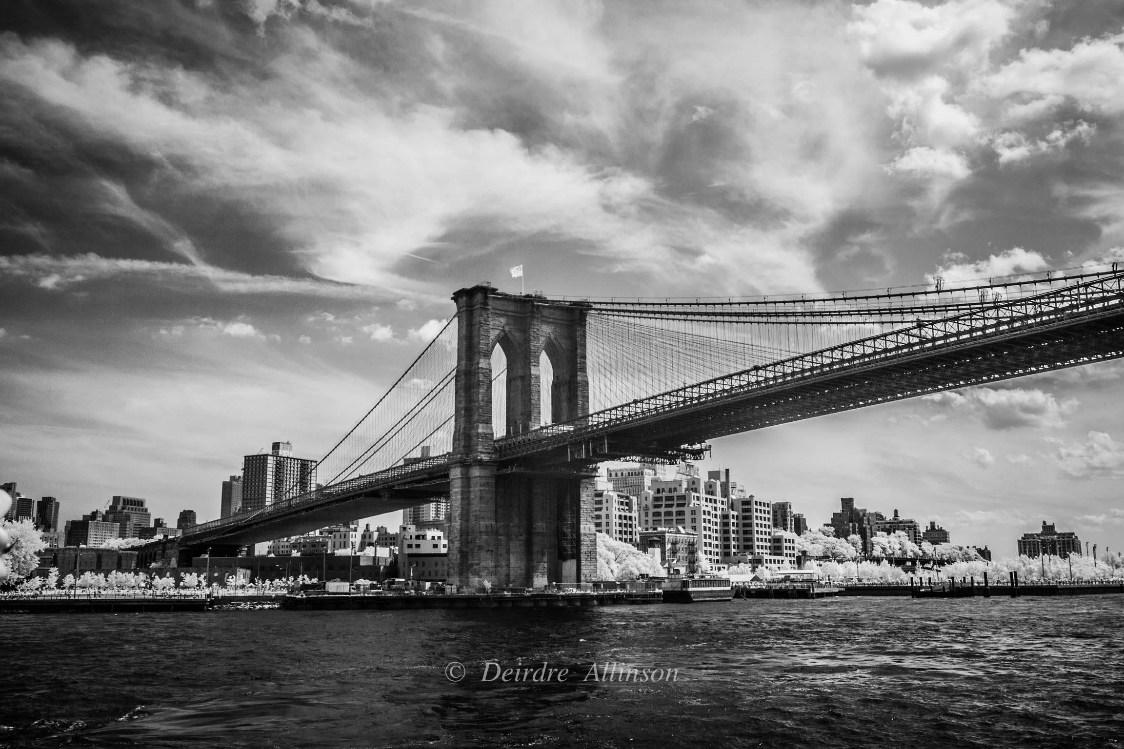 Black and White Photograph Deirdre Allinson - Le pont de Brooklyn, depuis la ferry