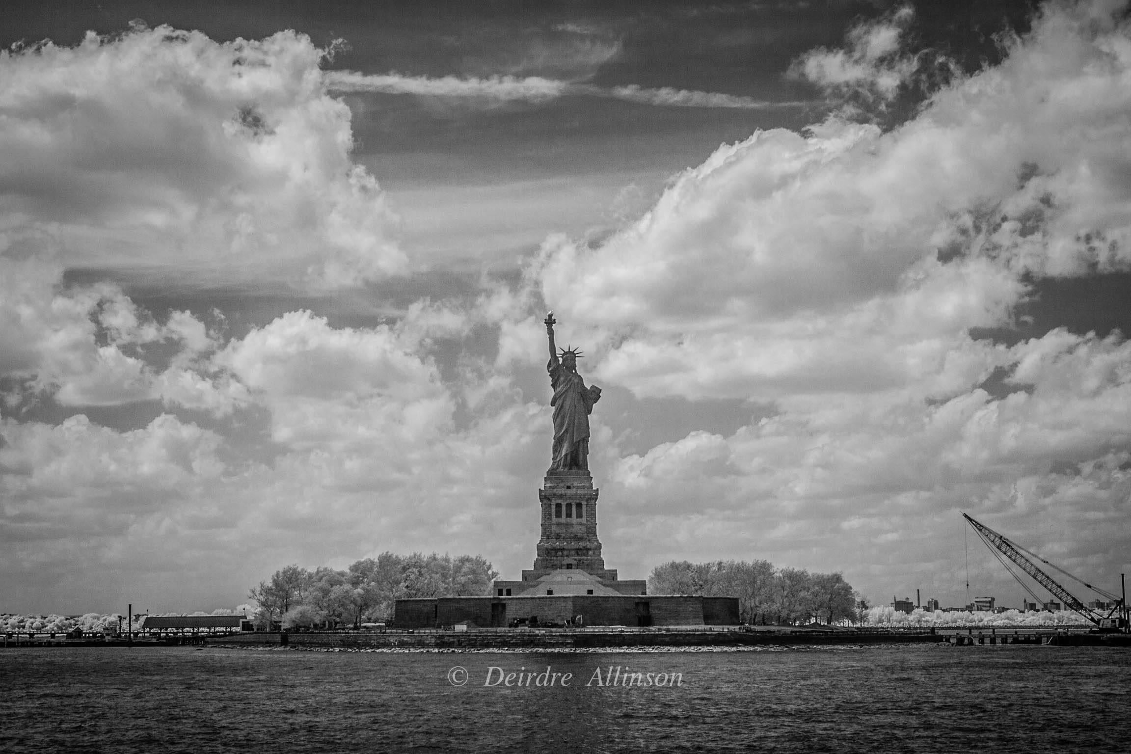 Deirdre Allinson Black and White Photograph - Freedom