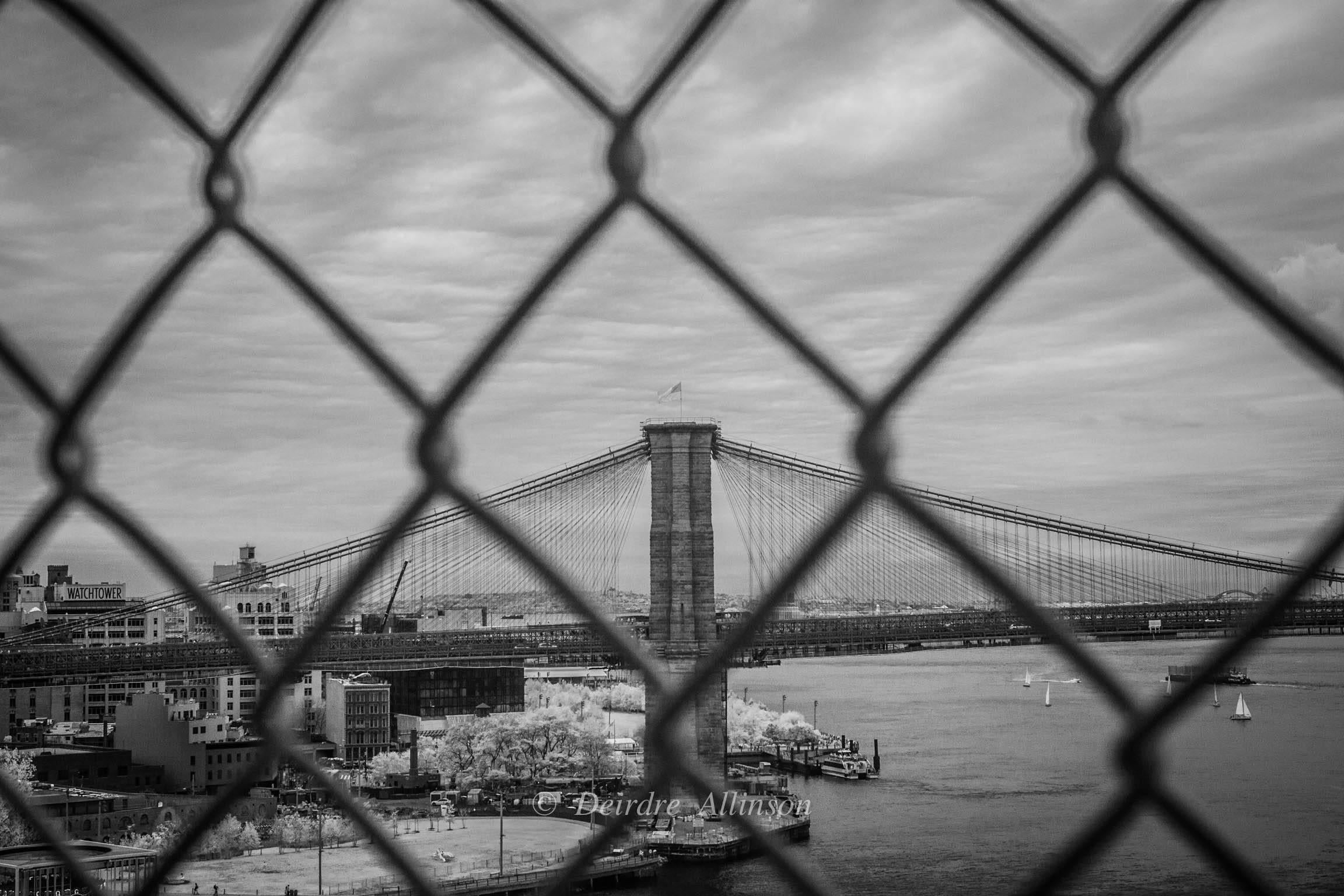 Deirdre Allinson Landscape Photograph - Steel. (Brooklyn Bridge.)