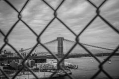 Steel. (Brooklyn Bridge.)