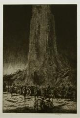 "I cassoni vanno avanti".