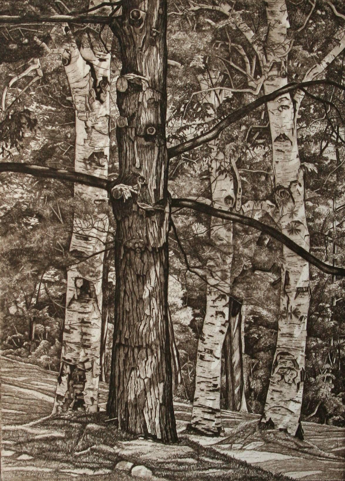 Luigi Lucioni Landscape Print - Tree Portraits.