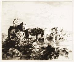 The Vraic Season (No 1).