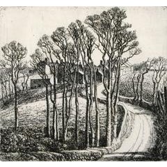Cornish Elms. 2