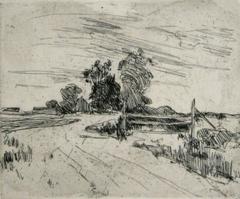 Windy Day, Branchville, Connecticut. 7