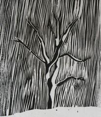 Storm Tree