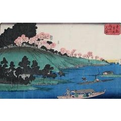 Cherry Blossom Time Along the Sumida River 10