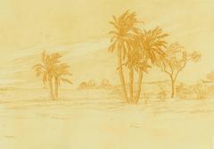 Antique Palmen in Egyptus (Palm Tees in Egypt). 