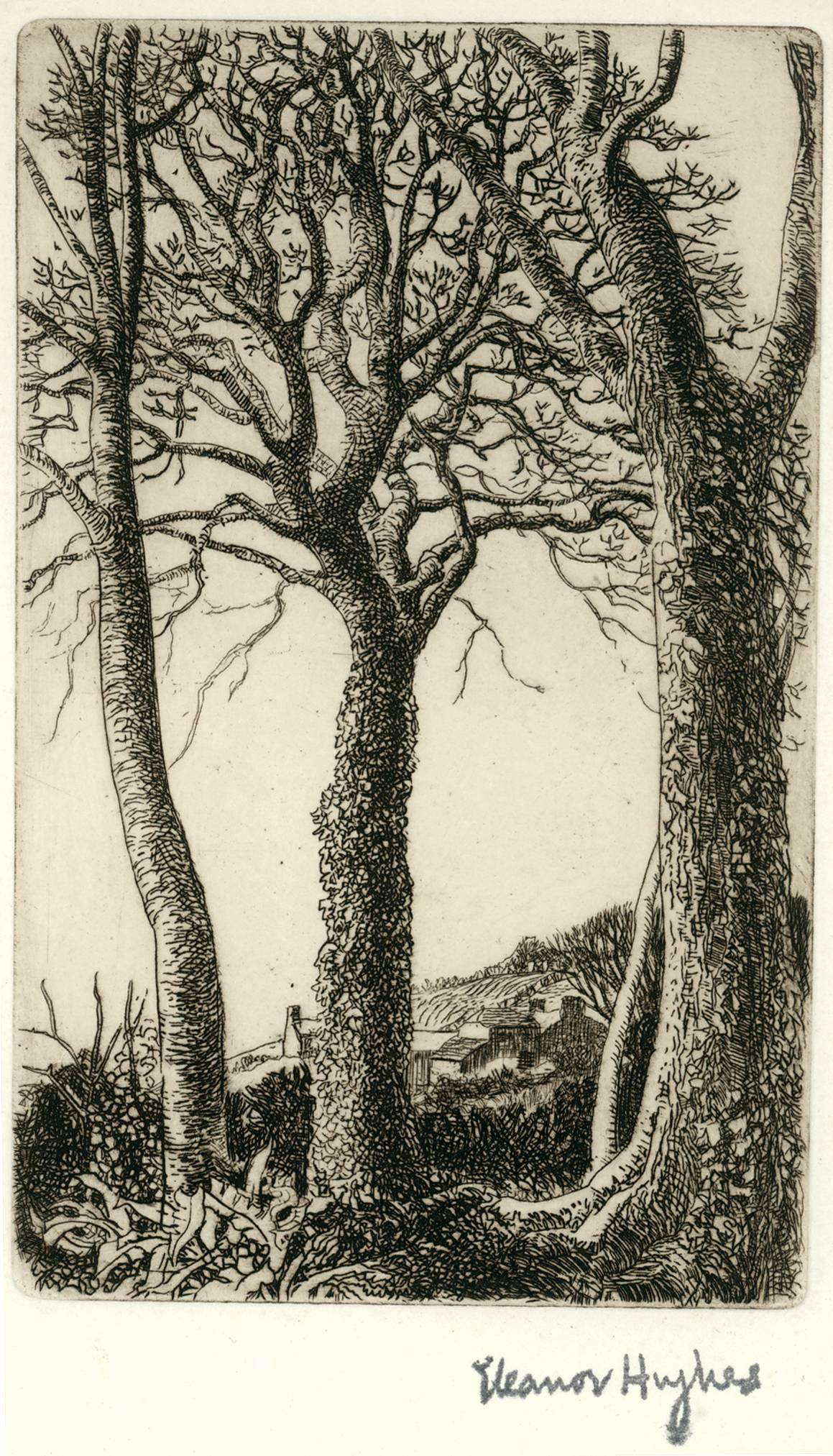 Four Sycamores: Farm in the Distance. - Print by Eleanor Mary Hughes