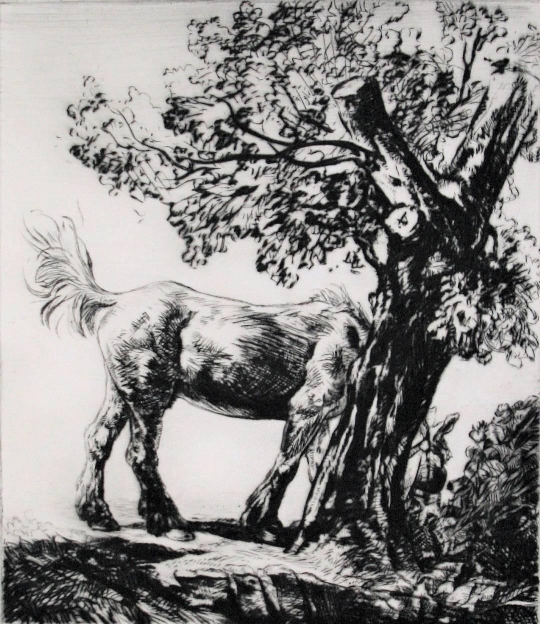 Robert Charles Peter Animal Print - The Old Farm Horse. 