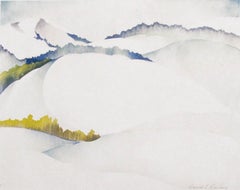 Snowscape and Landscape